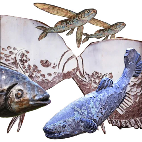 Kolekcja Ławica